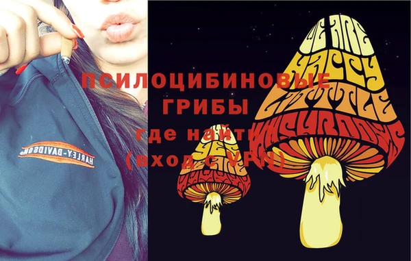 меф Сафоново