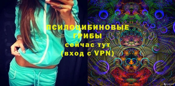 PSILOCYBIN Абинск