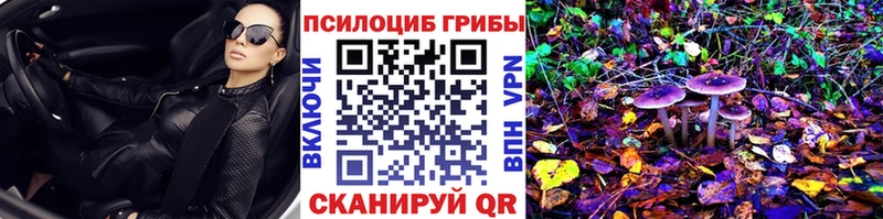 наркота  Горбатов  Галлюциногенные грибы MAGIC MUSHROOMS 